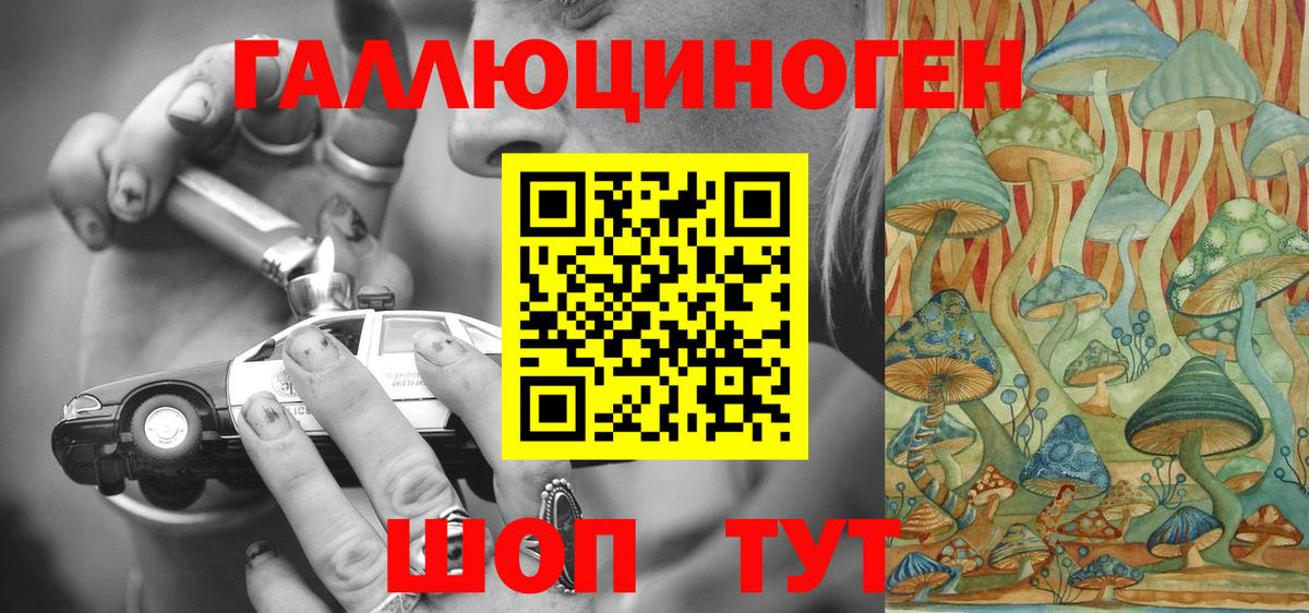Галлюциногенные грибы Psilocybe Минеральные Воды
